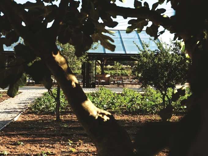 The Margi Farm