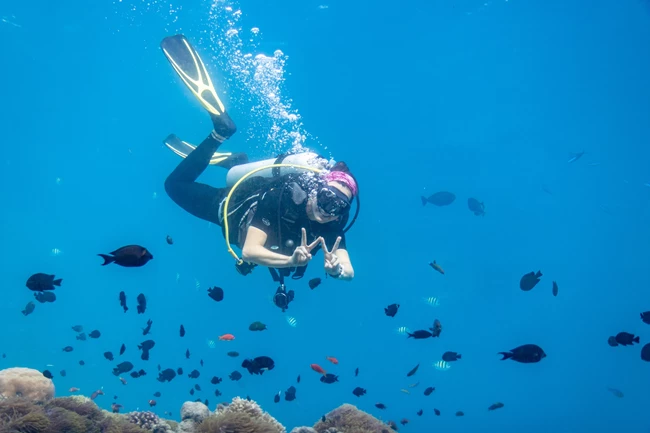 Anantara Kihavah MALDIVES Welfie underwater