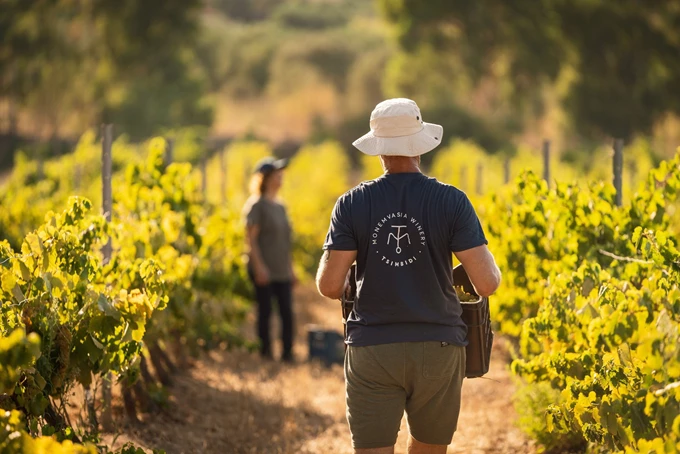 Monemvasia Winery Tsimbidi