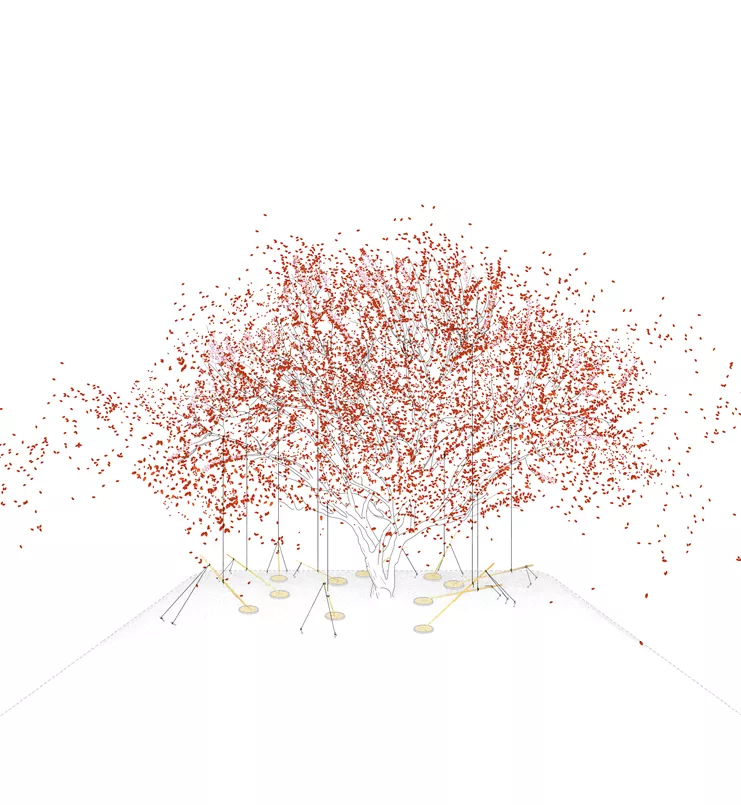 Zissis Kotionis Barometer and Aerographs, 2022