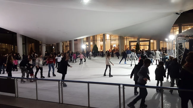 Pagodromio Ice Arena