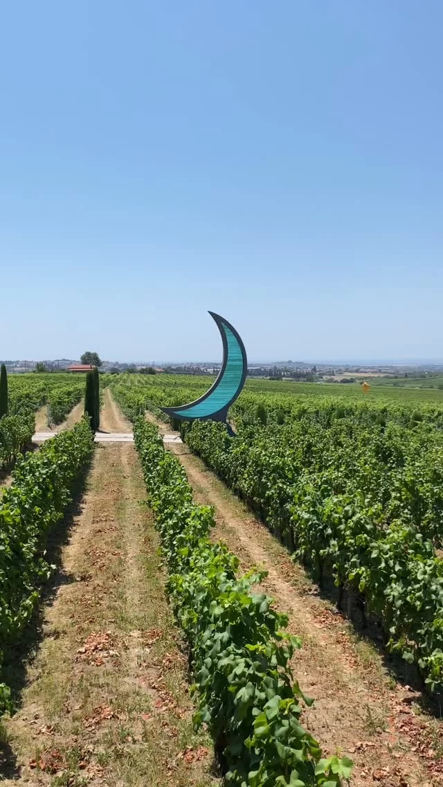 οινοτουρισμός