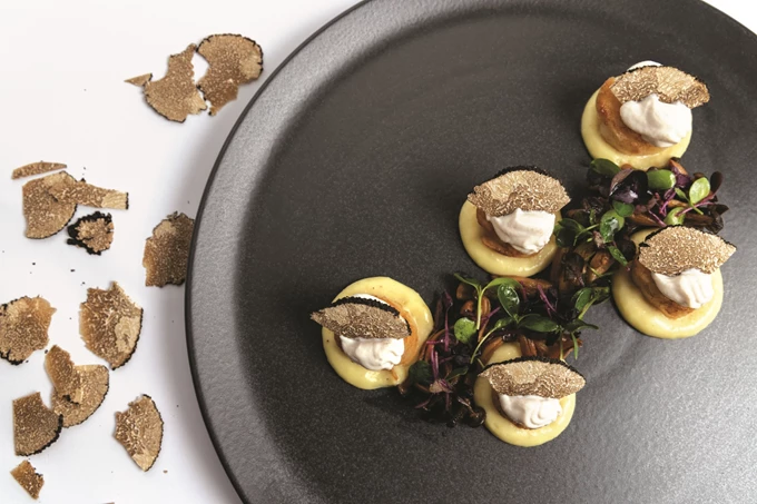 Γαστροδρόμιο Εν Ολύμπω, Πιερία