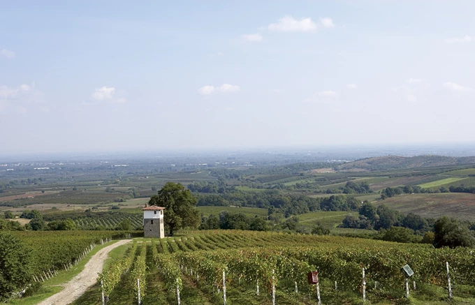 Η πρώτη βιβλιοθήκη οίνου στην Ελλάδα