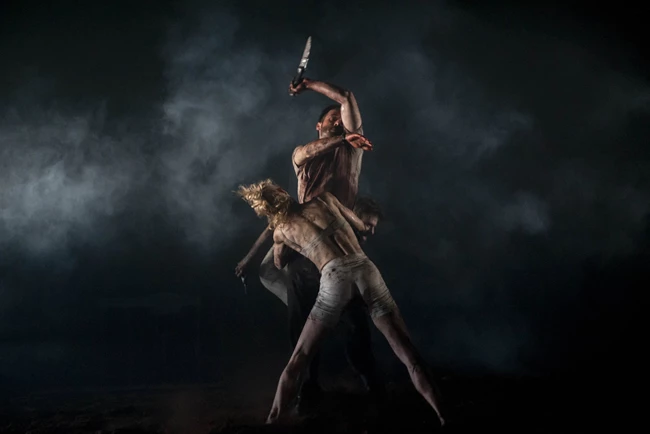 Ο σκύλος η νύχτα και το μαχαίρι