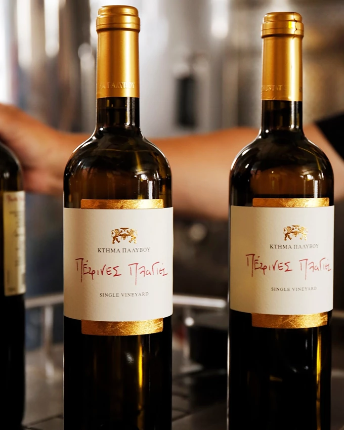 Τα κορίτσια του κρασιού πάνε στο