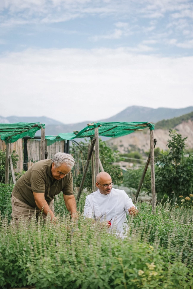 Soil στο Αλεποχώρι 6