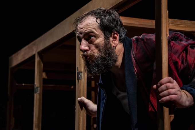 Το ημερολόγιο ενός τρελού