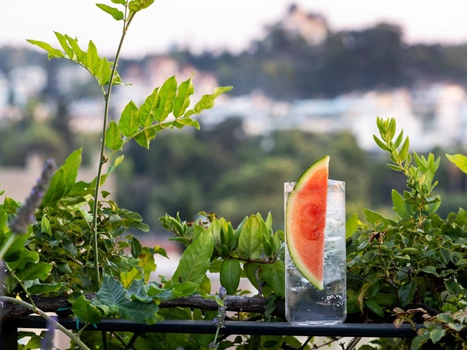 The Foundry Rooftop Garden