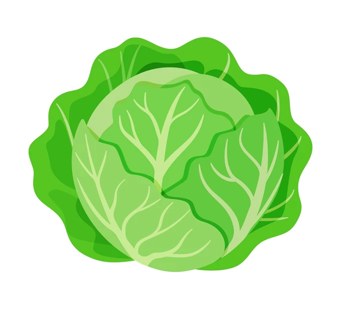 Food trends 2026_Λάχανο