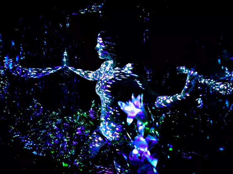 Amalia melancholia η βασίλισσα των φοινίκων