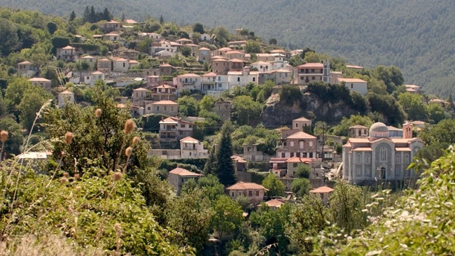 Θερμοκοιτίδα Επιχειρήσεων στη Βαμβακού