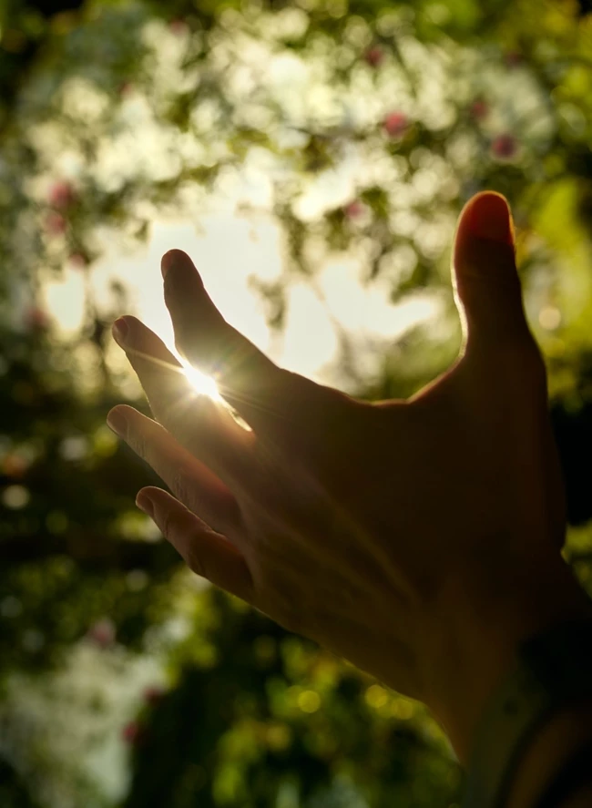 Nespresso Colombia Organic