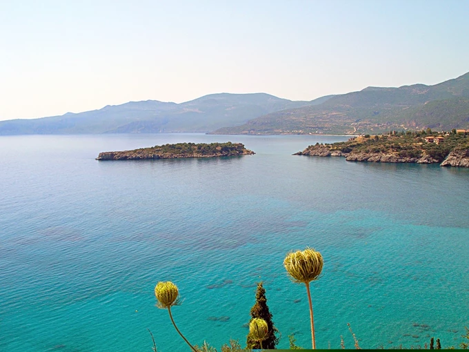 τριφυλία