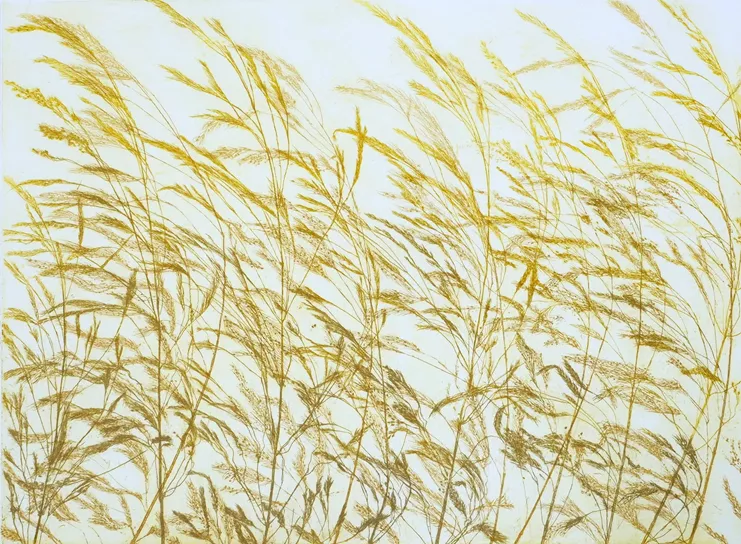 Pino Pandolfini, «Αγριόχορτα στον άνεμο», 2023, χαλκογραφία, 30 x 40 εκ.