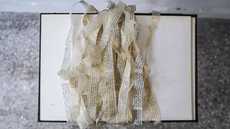 Θ. Χιώτη, &quot;Rereading Freud&quot;, μεταβαλλόμενες διαστάσεις