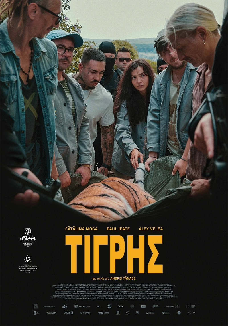 Τίγρης