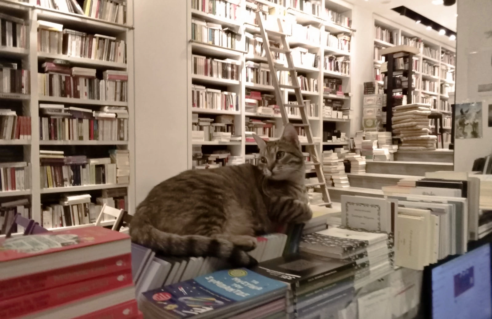 Επί Λέξει: Βιβλία με €2, λίγο πριν το κλείσιμο