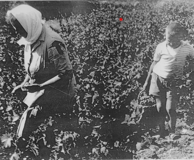 Γιατί έπρεπε να δημιουργηθεί ο Συνεταιρισμός της Σάμου;