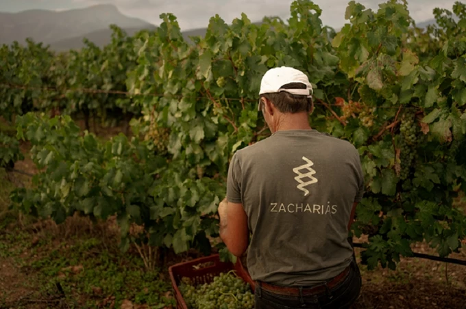 Zacharias Winery