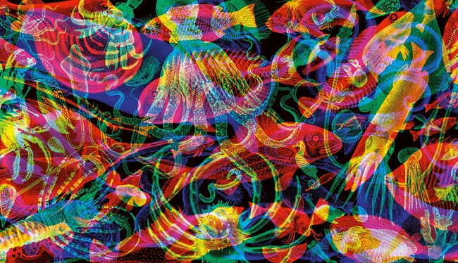 Εικονογράφηση των Carnovsky illustradays