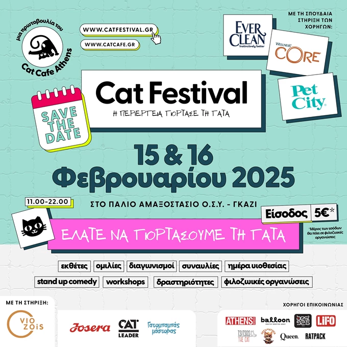 1ο Cat Festival