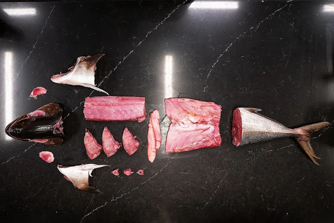 Η επόμενη πίστα του 'Βασίλαινας'