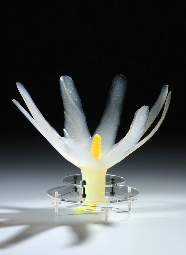 True to Form Petr Vogel - brooch Edelweiss - 2007