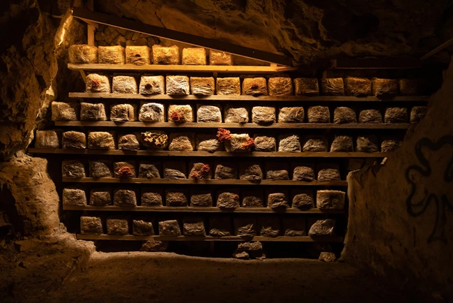 Matthias Fritsch, Mycelium network (2023), Plasmata Ioannina