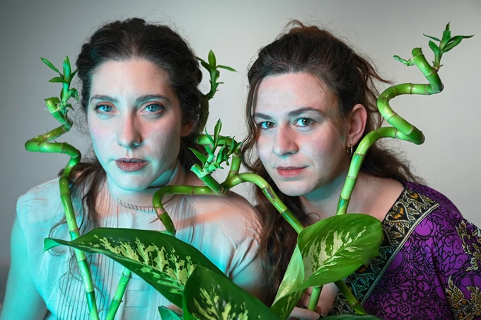 Perplex Παύλου