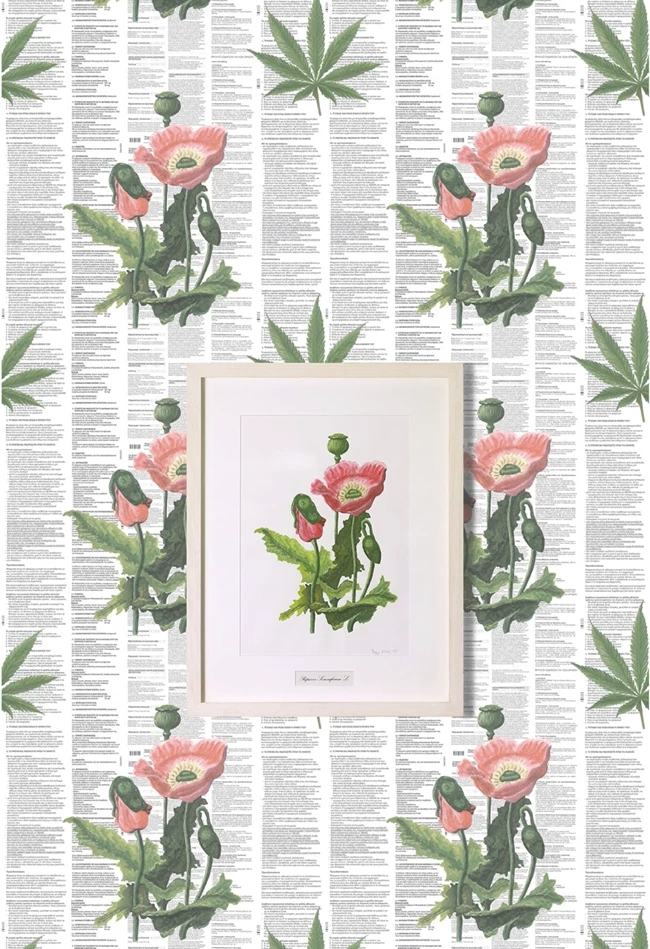 Αφρός των ημερών έκθεση