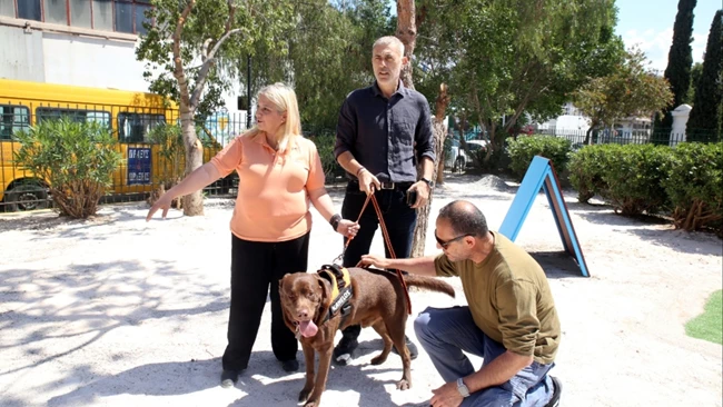 Δημοτικό Πάρκο σκύλων