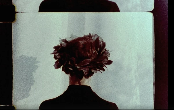 Catriona Gallagher Daphne was a torso ending in leaves