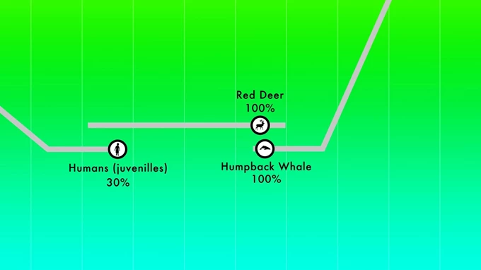 Marcus Coates sounds-of-others- ΕΜΣΤ animals