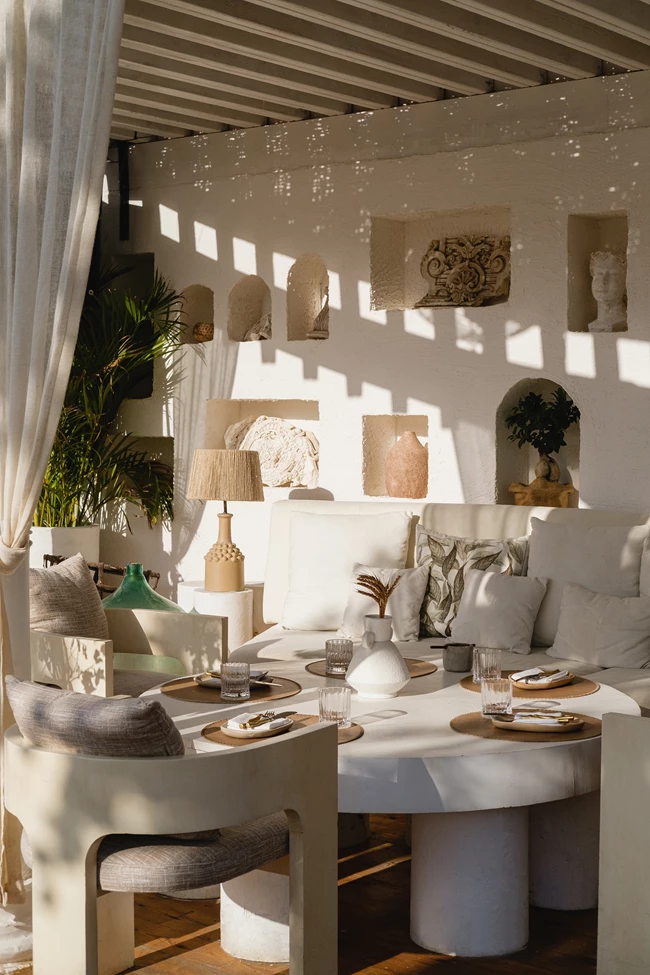 The Lemon Tree and Co