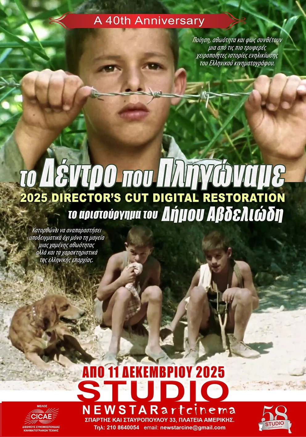 Το Δέντρο που Πληγώναμε