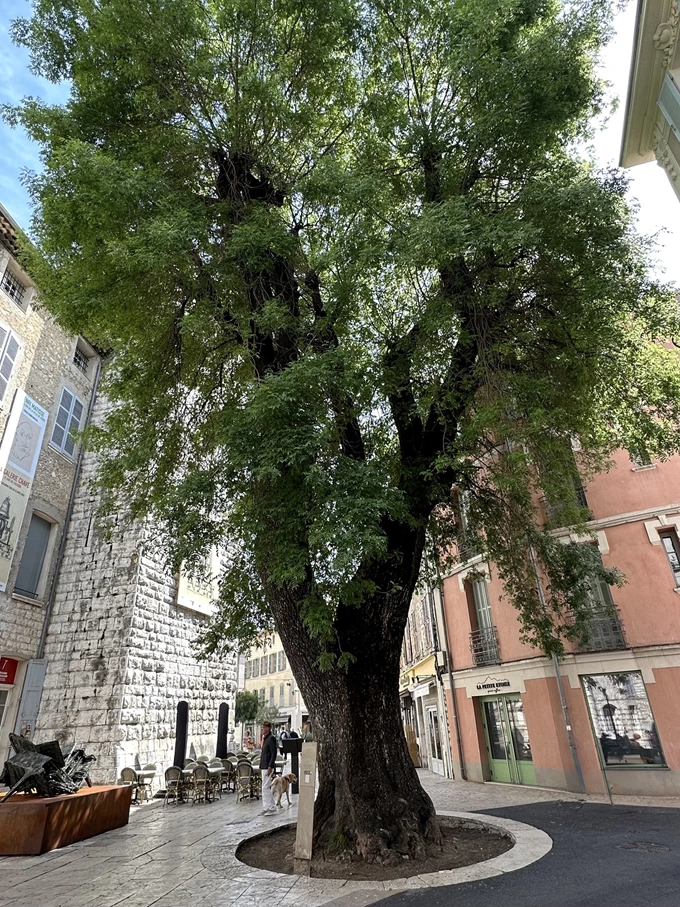 Saint-Paul-de-Vence 3
