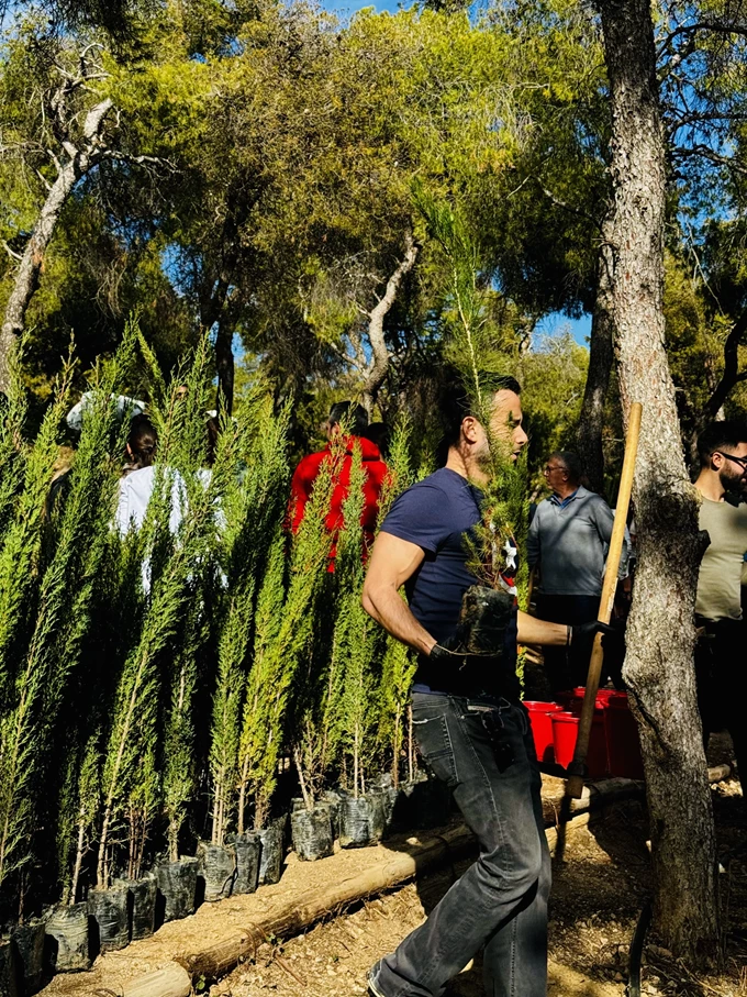 δενδροφύτευση στον Λυκαβηττό