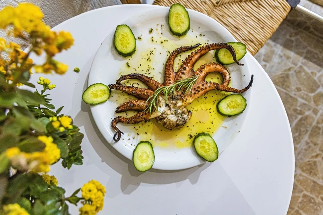 Σχοινούσα Μελτέμι