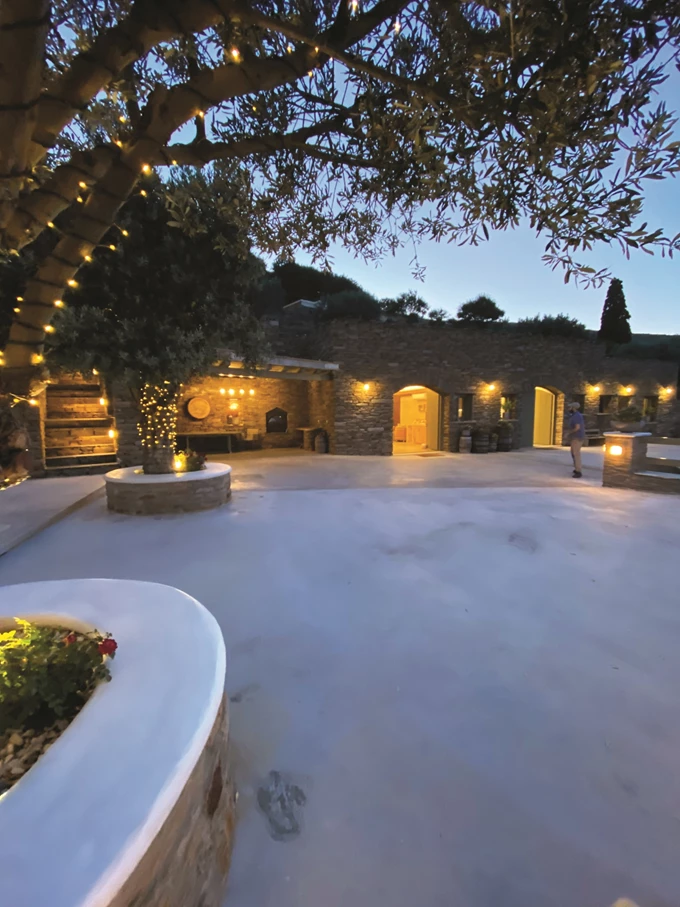 8 ελληνικά οινοποιεία που αξίζει να επισκεφθείς_Οινοποιείο Κουρτέση στην Άνδρο 3