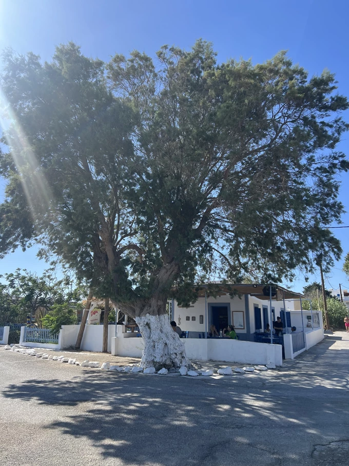 αστυπάλαια
