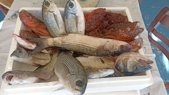 Ανοιξιάτικη φυγή στο Γαλαξίδι, το 'στεριανό νησί' της ναυτοσύνης 9