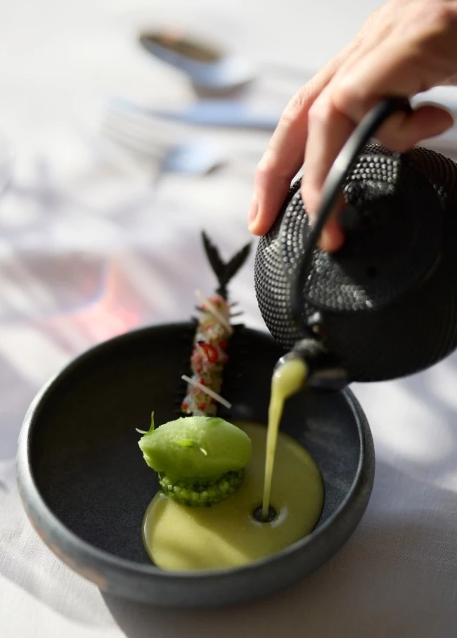 Bill & Coo Gastronomy Project