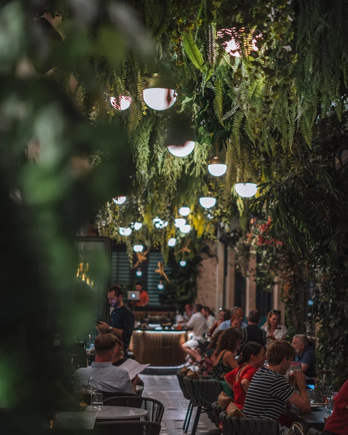 Geco at Gatsby Athens