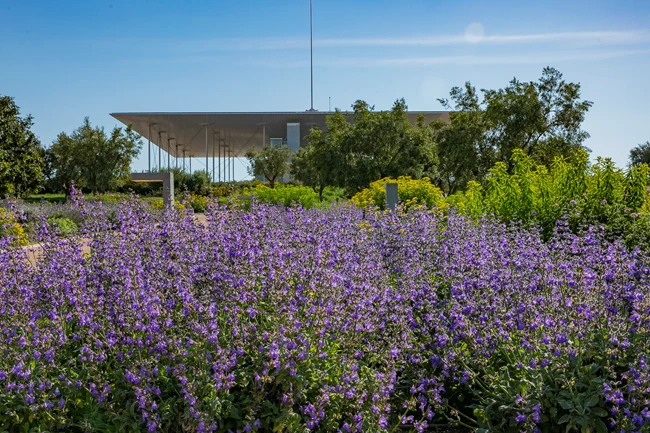 SNFCC_STAVROS NIARCHOS PARK