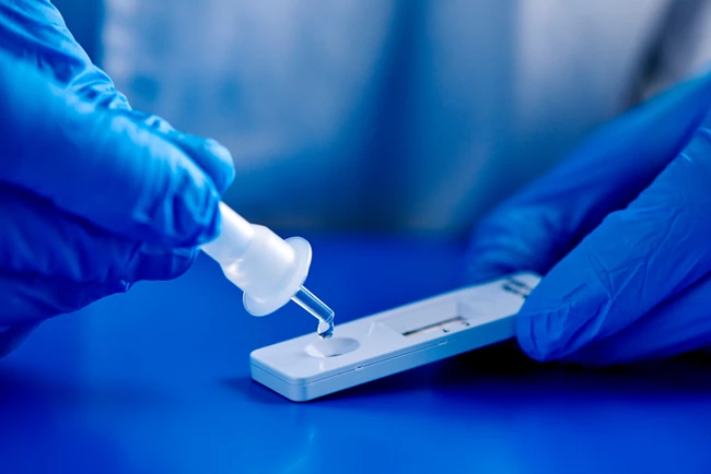 Rapid Test