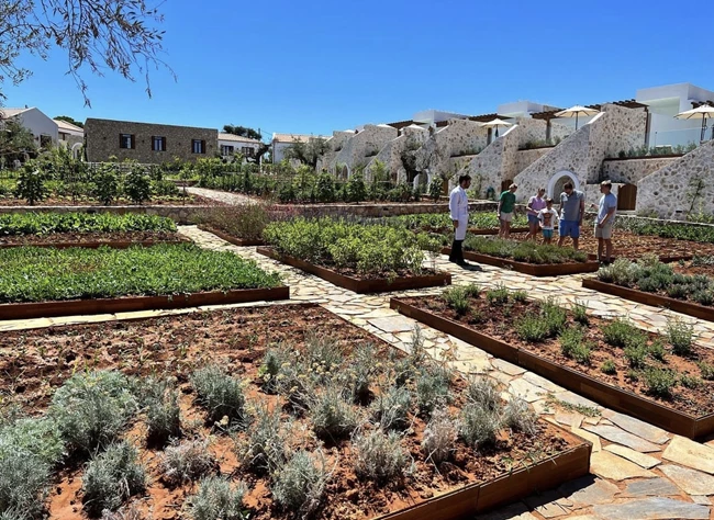 Άγγελος Μπακόπουλος