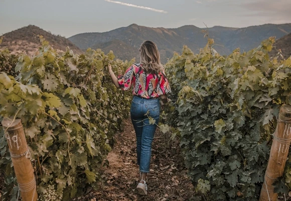 Το καλύτερο οινοποιείο στον κόσμο, το Vik στη Χιλή 5