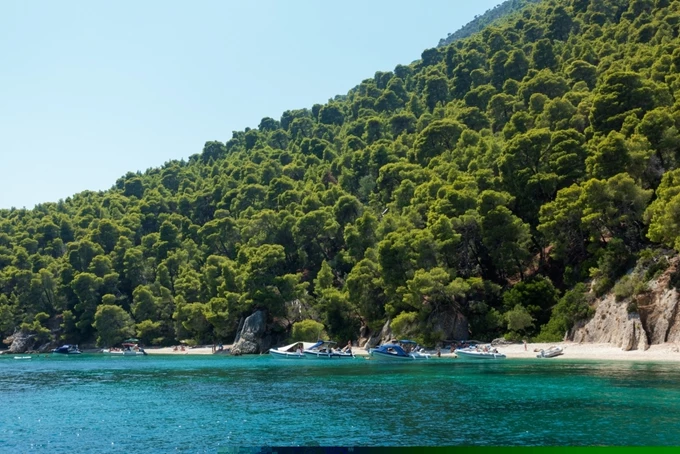 Κάλαμος 1