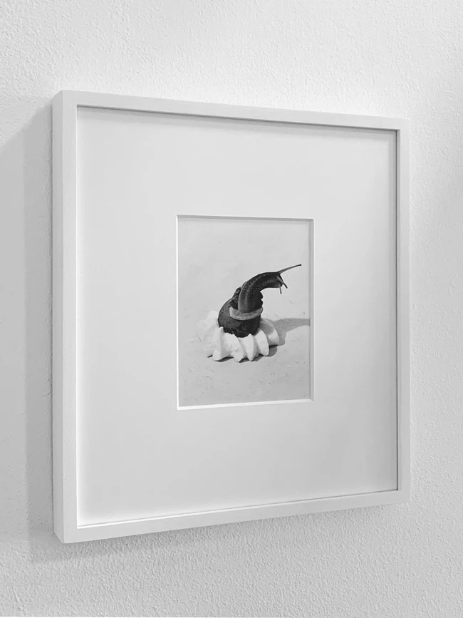 Bread and Digestifs, Francesco Gennari Avendo se stessi come unico punto di riferimento 2004_Courtesy the Artist and Ciaccia Levi, Paris